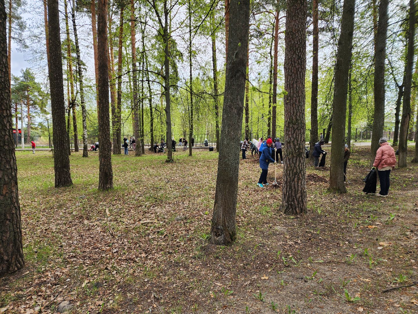 всероссийский субботник, шатурский округ, шатура, экологическая акция,