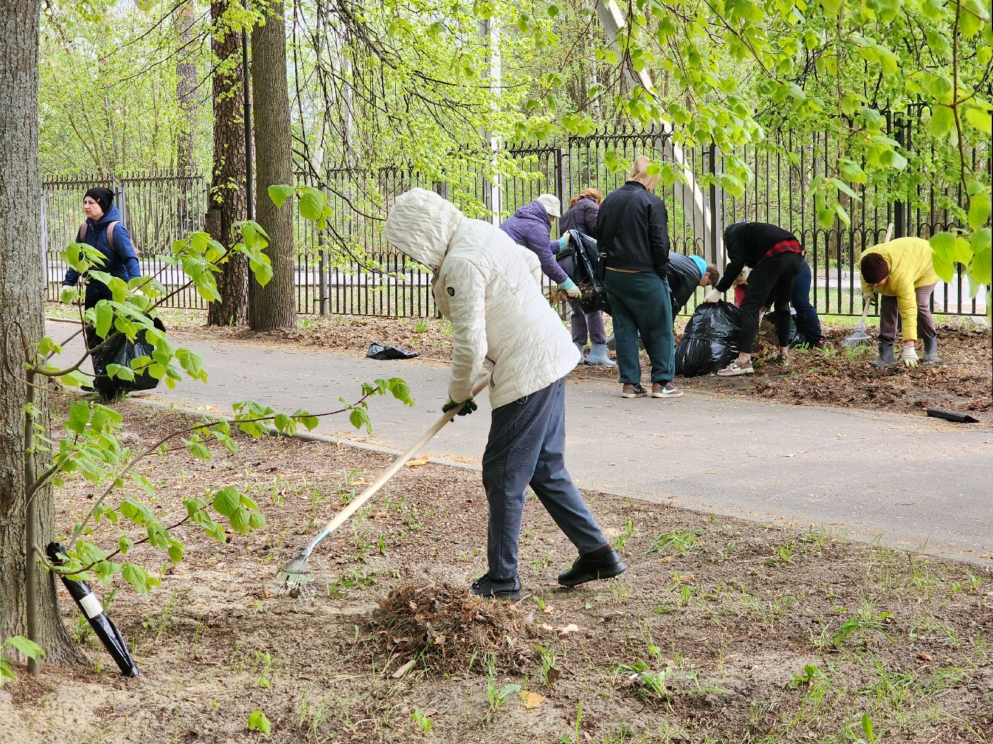 всероссийский субботник, шатурский округ, шатура, экологическая акция,