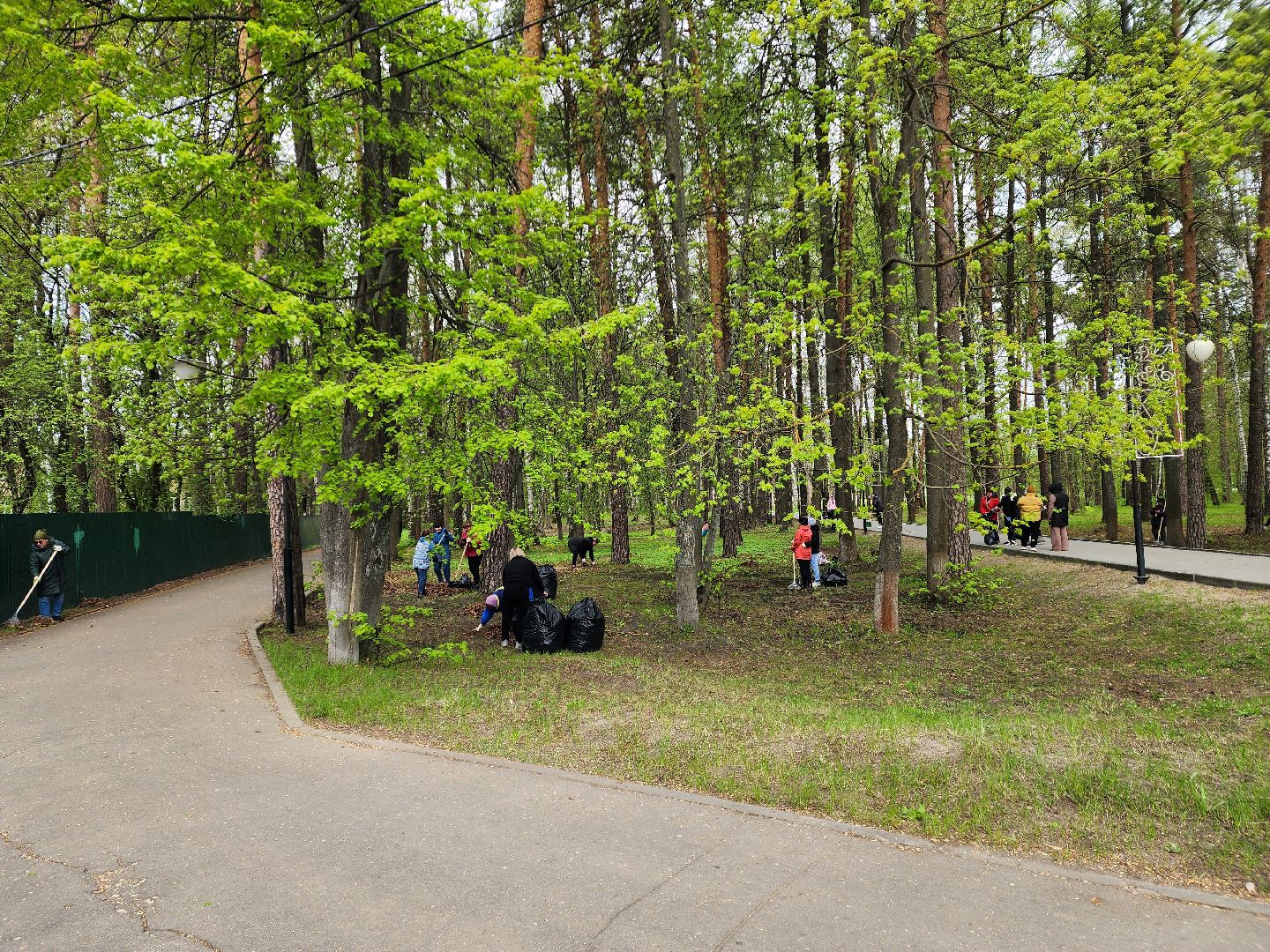 всероссийский субботник, шатурский округ, шатура, экологическая акция,