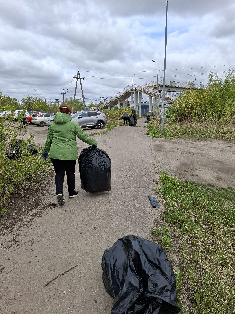 всероссийский субботник, шатурский округ, шатура, экологическая акция,