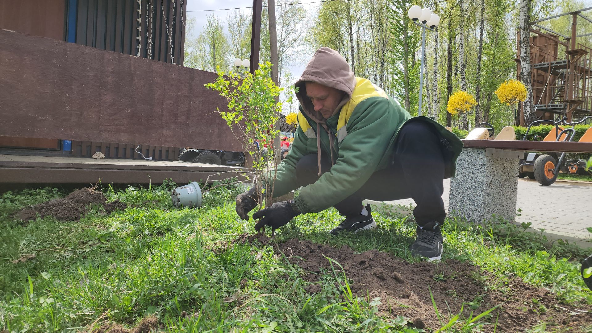 кашира, субботник, парк, благоустройство, посадка деревьев, кустарники,