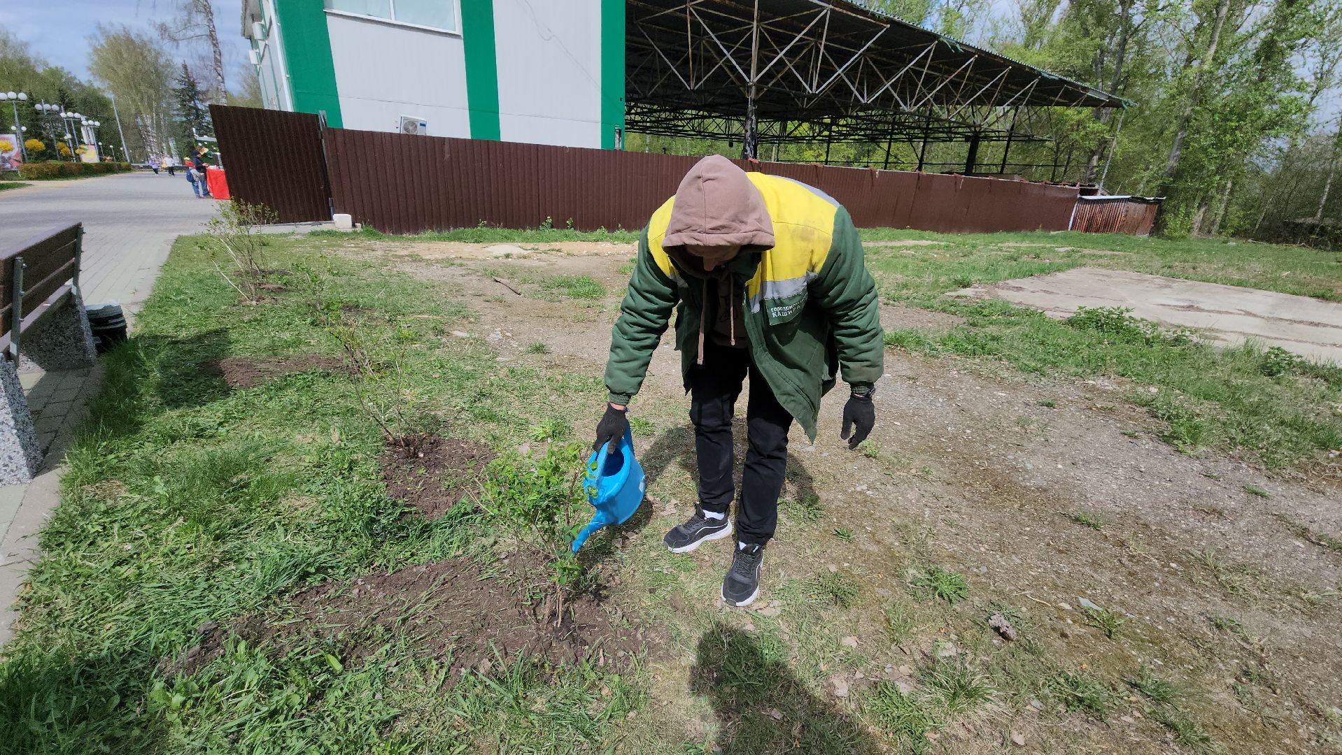 кашира, субботник, парк, благоустройство, посадка деревьев, кустарники,