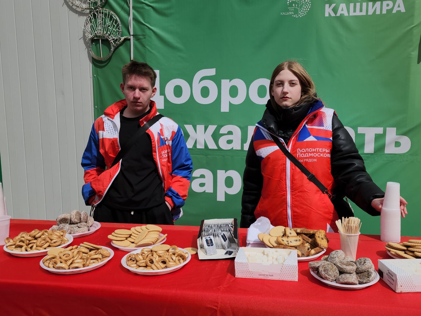 кашира, субботник, парк, благоустройство, посадка деревьев, кустарники,