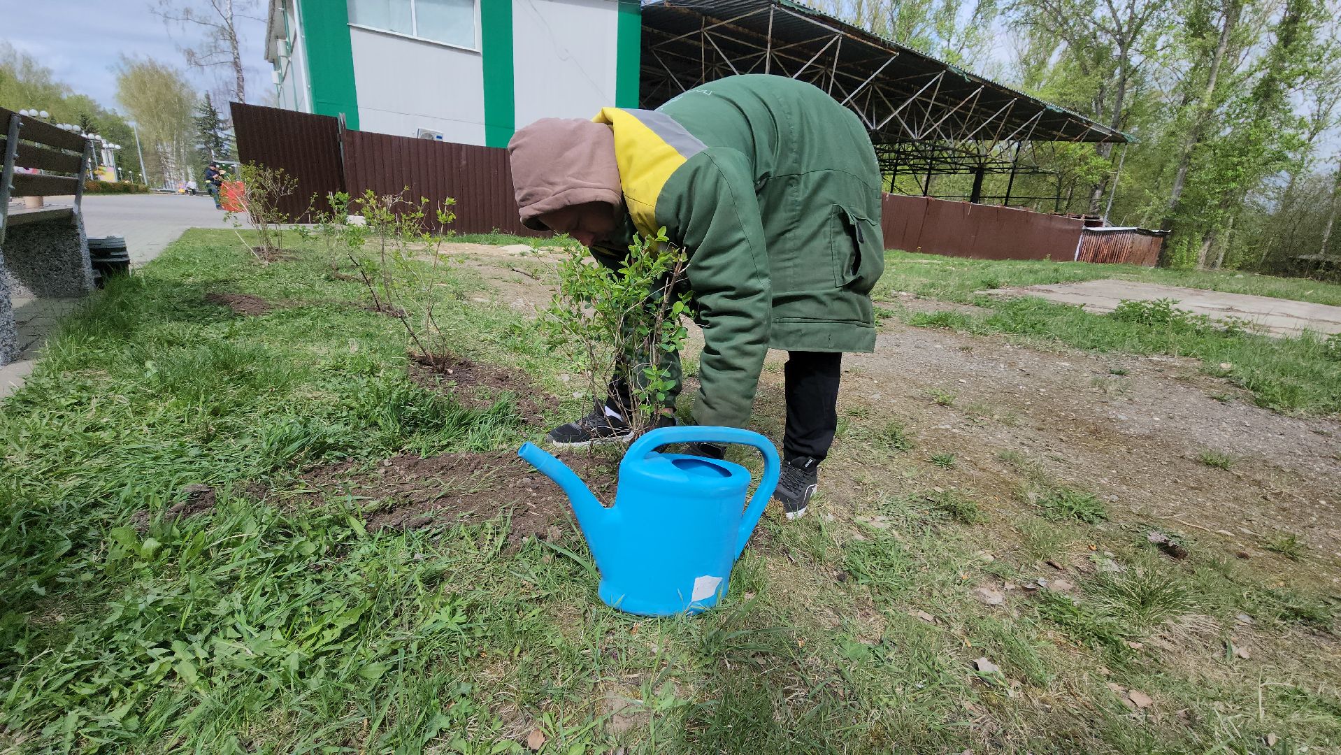 кашира, субботник, парк, благоустройство, посадка деревьев, кустарники,