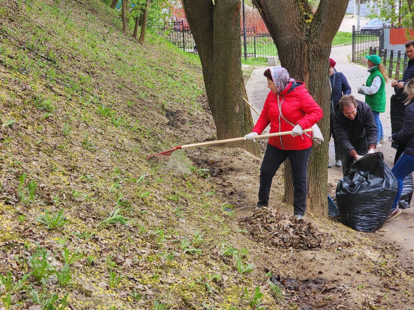 Подольск , субботник, парк талалихина,