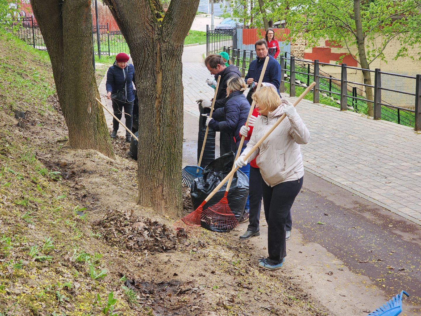 Подольск , субботник, парк талалихина,