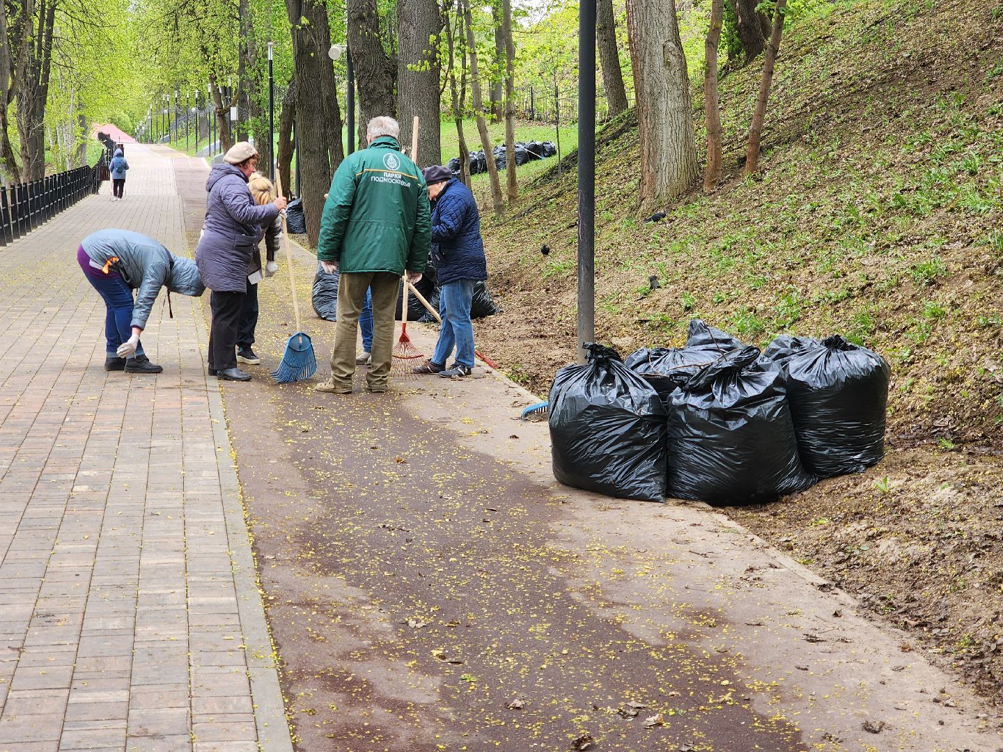 Подольск , субботник, парк талалихина,