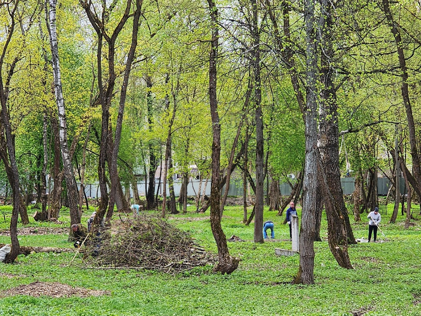 сергиев посад,  субботник, Кладбище,