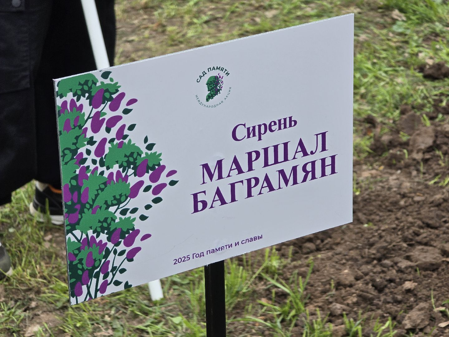 Коломна, парк мира в коломне, сад памяти, аллея славы,