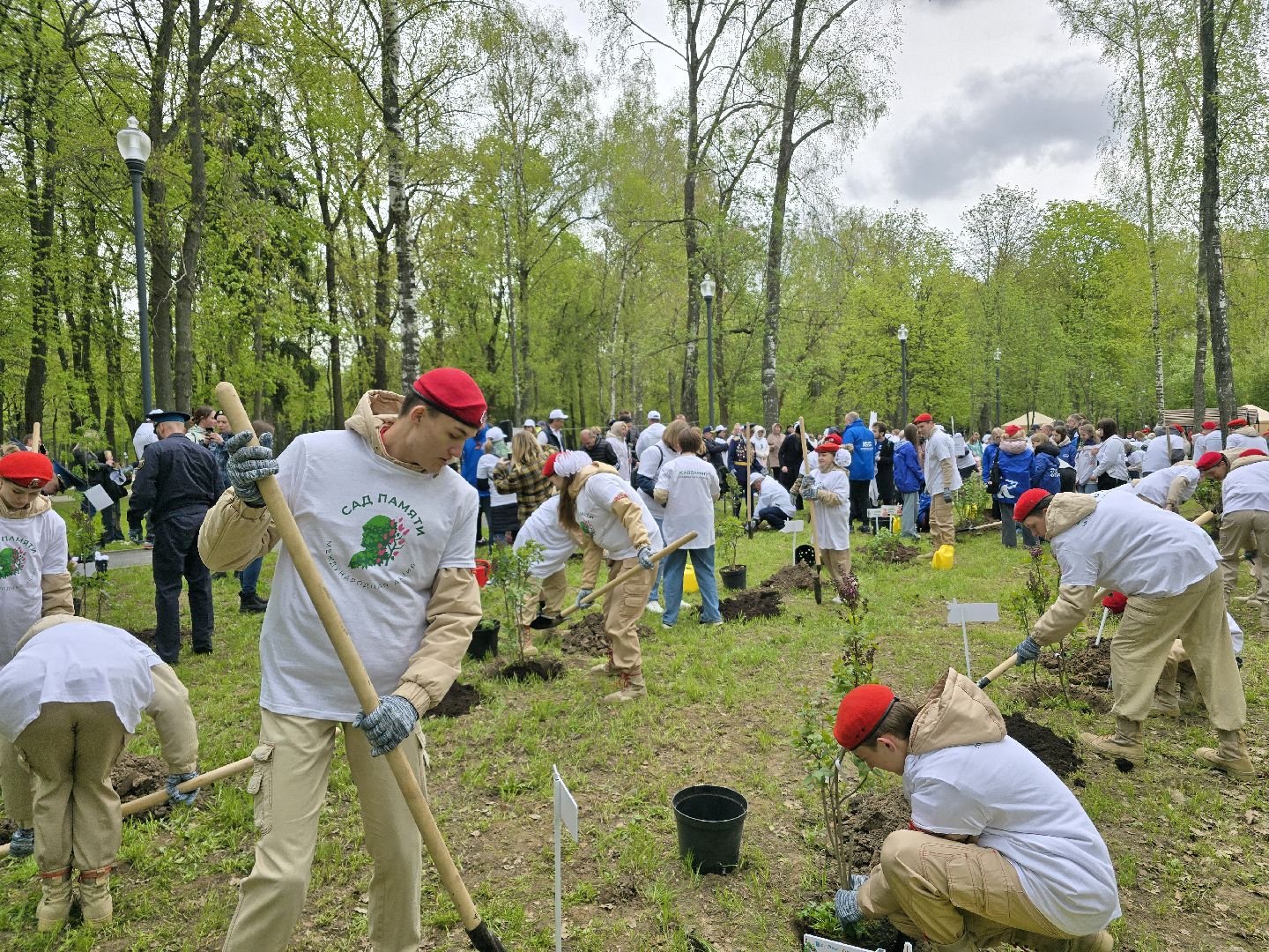 Коломна, парк мира в коломне, сад памяти, аллея славы,