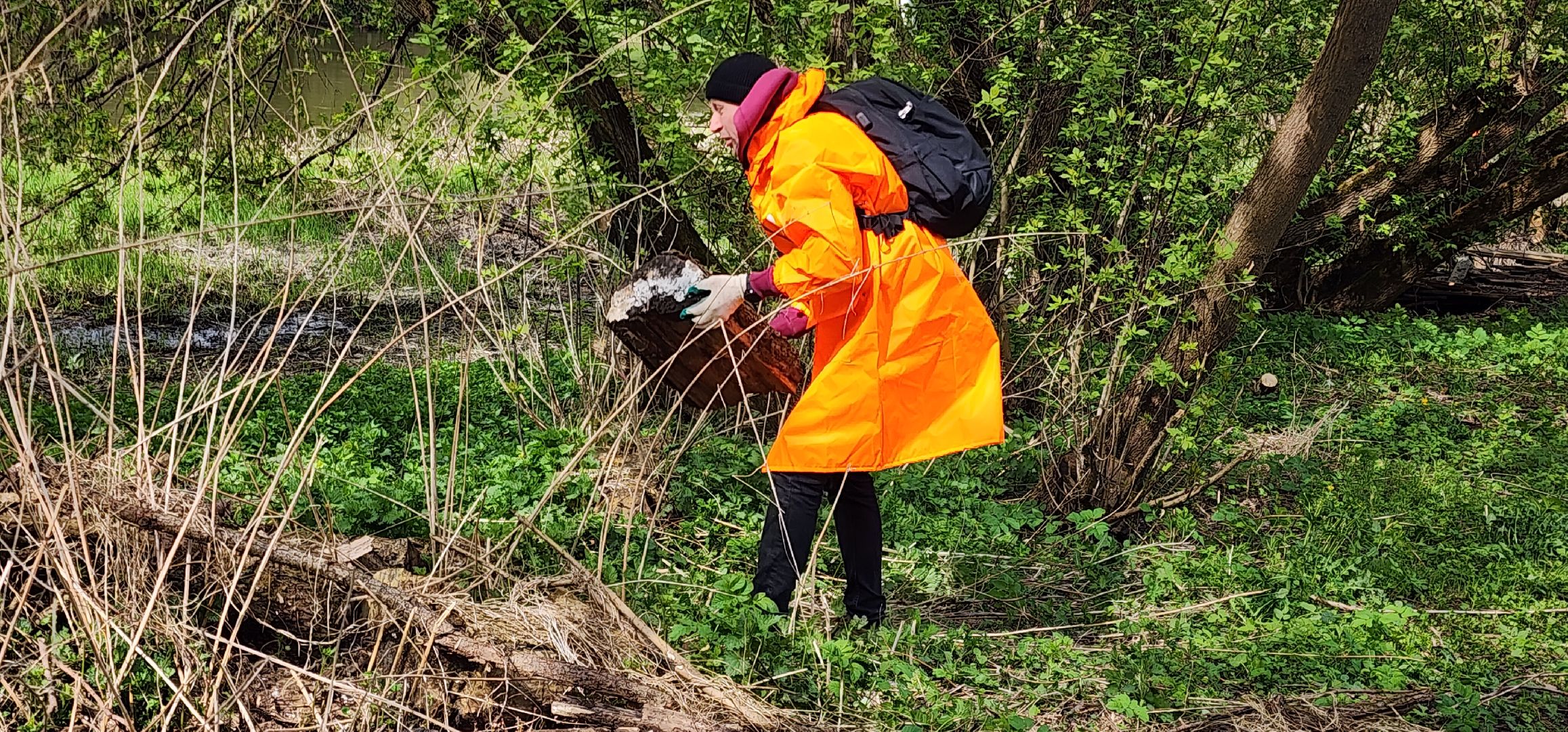 всероссийский субботник, волонтры звенигорода, эко-тропа, 80-летие победы,