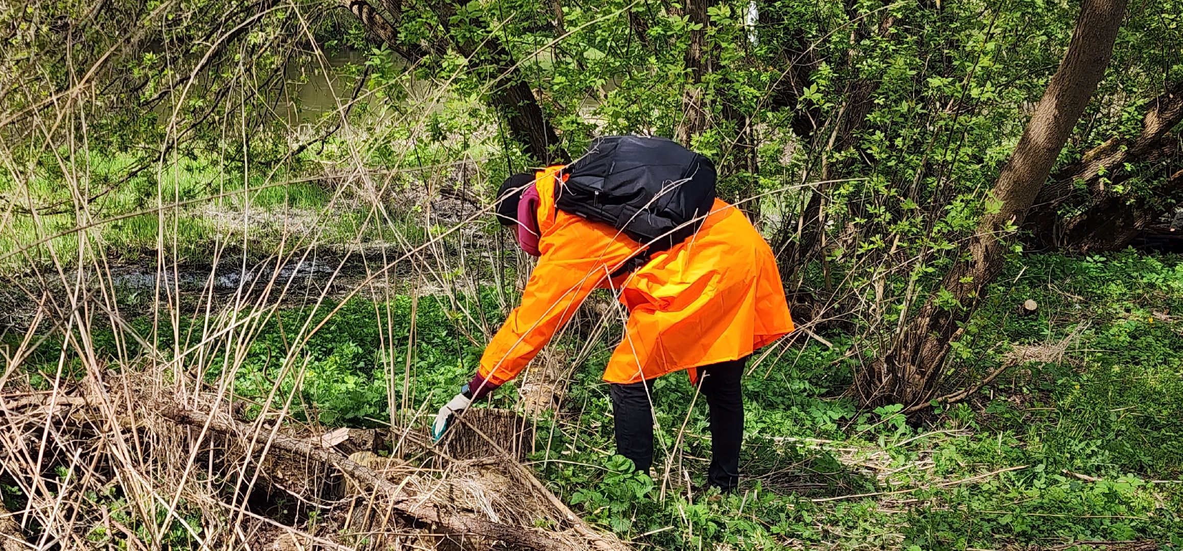 всероссийский субботник, волонтры звенигорода, эко-тропа, 80-летие победы,