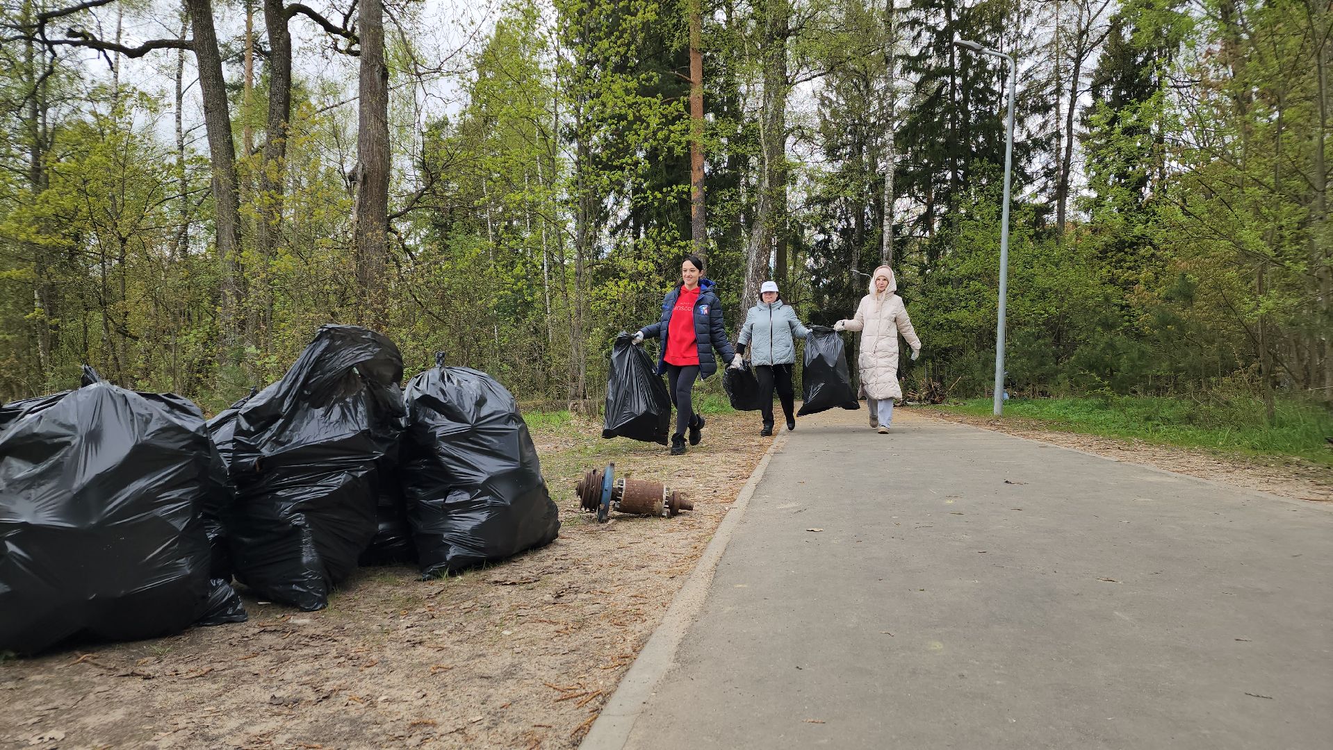 субботник, всероссийский субботник, Лосино-Петровский,