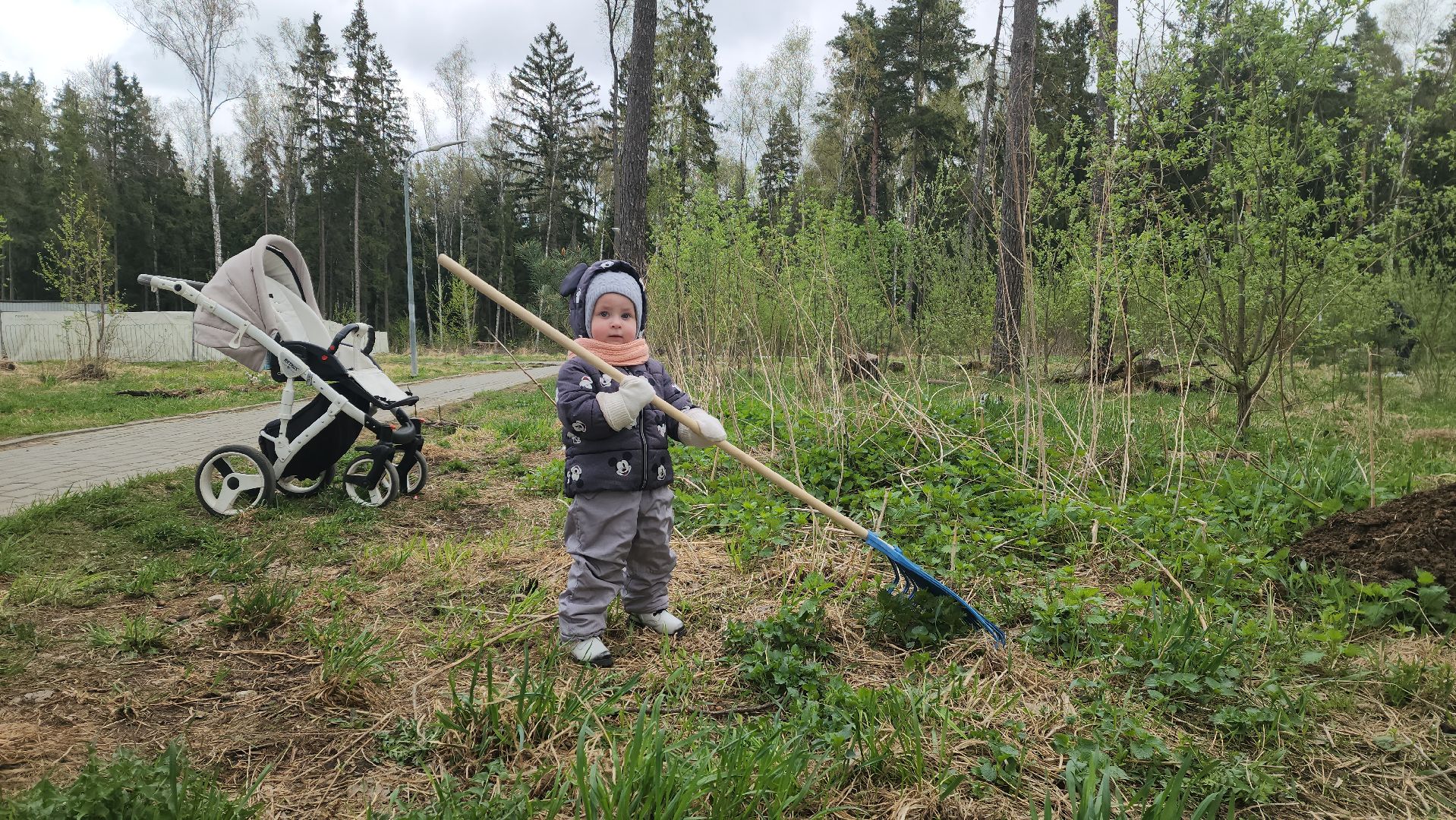 красногорск, субботник,