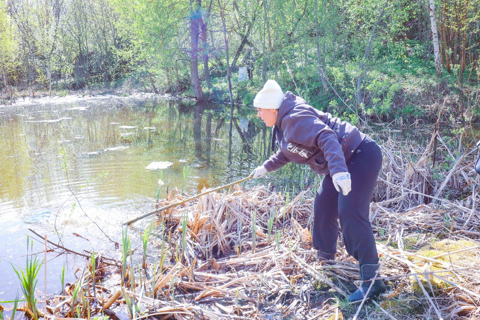 клин, общество, субботник, экология,