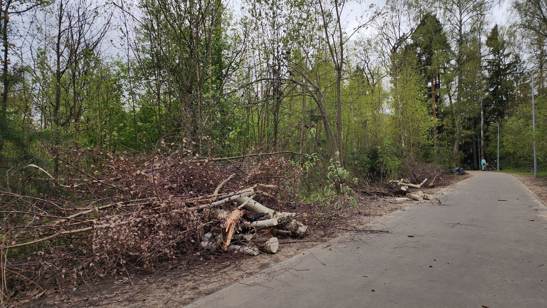 субботник, экология, лосино-петровский,