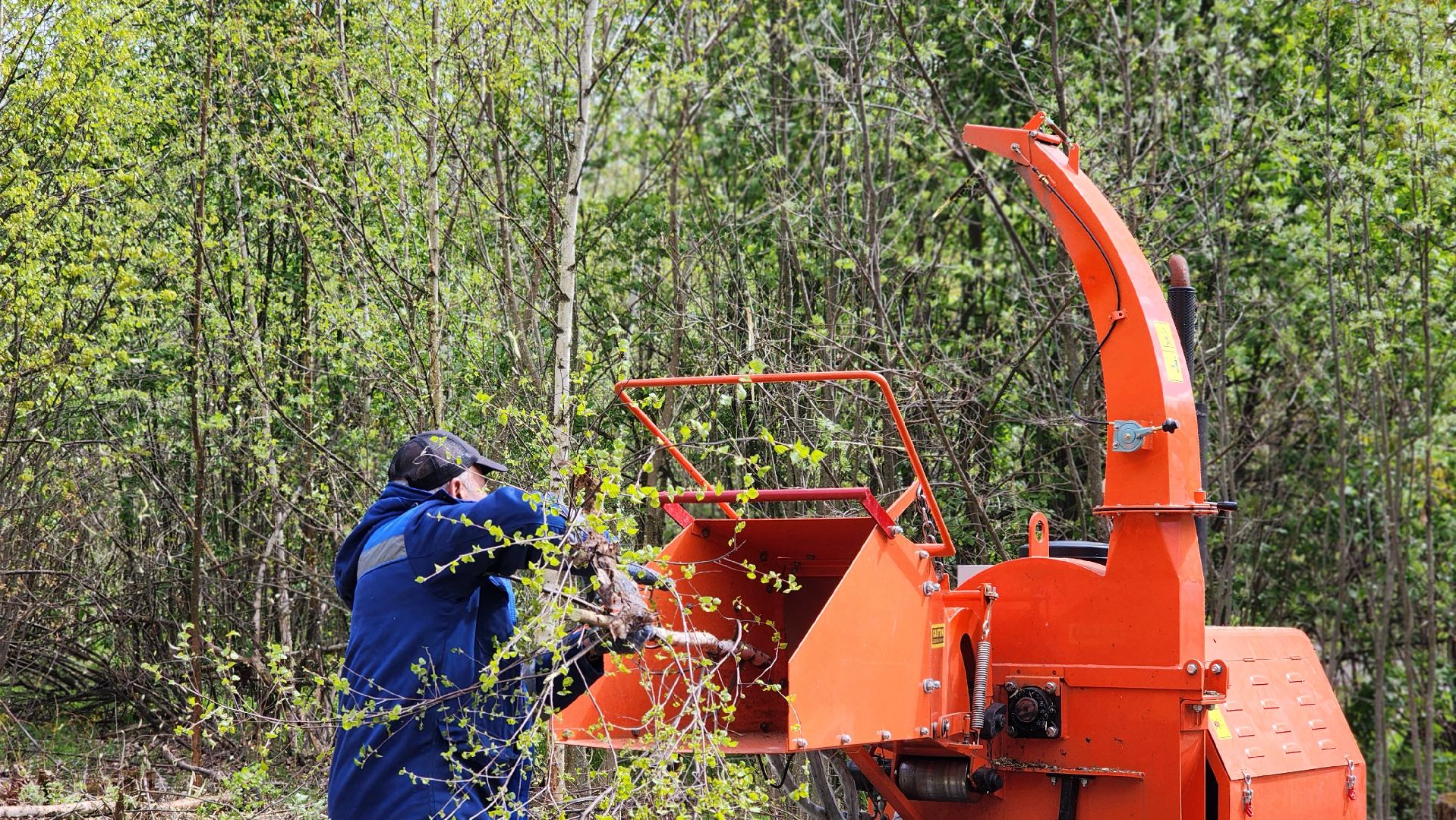 субботник, экология, лосино-петровский,