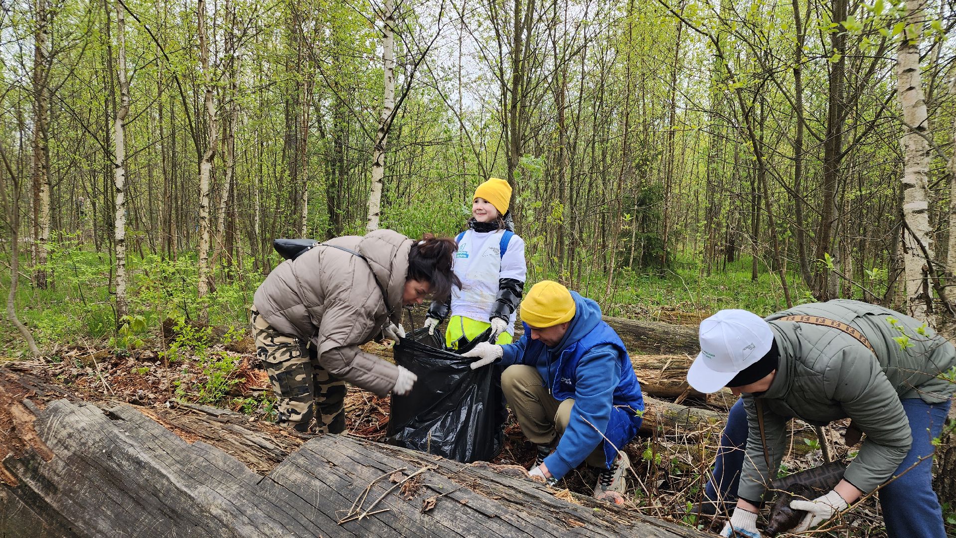 субботник, экология, лосино-петровский,