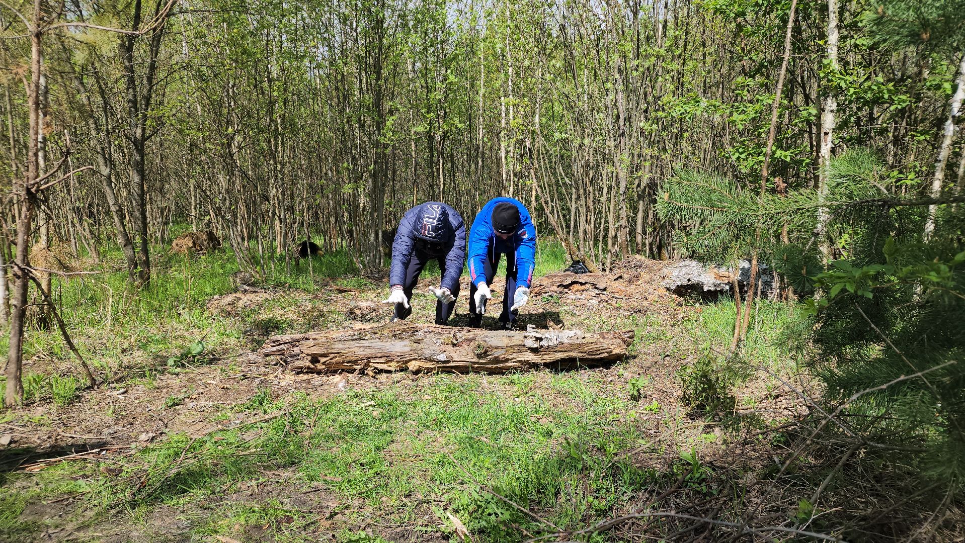 субботник, экология, лосино-петровский,