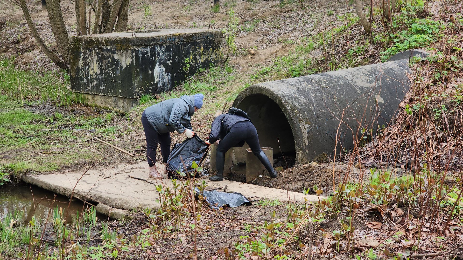 субботник, щёлково, Чкаловское озеро, уборка територии,