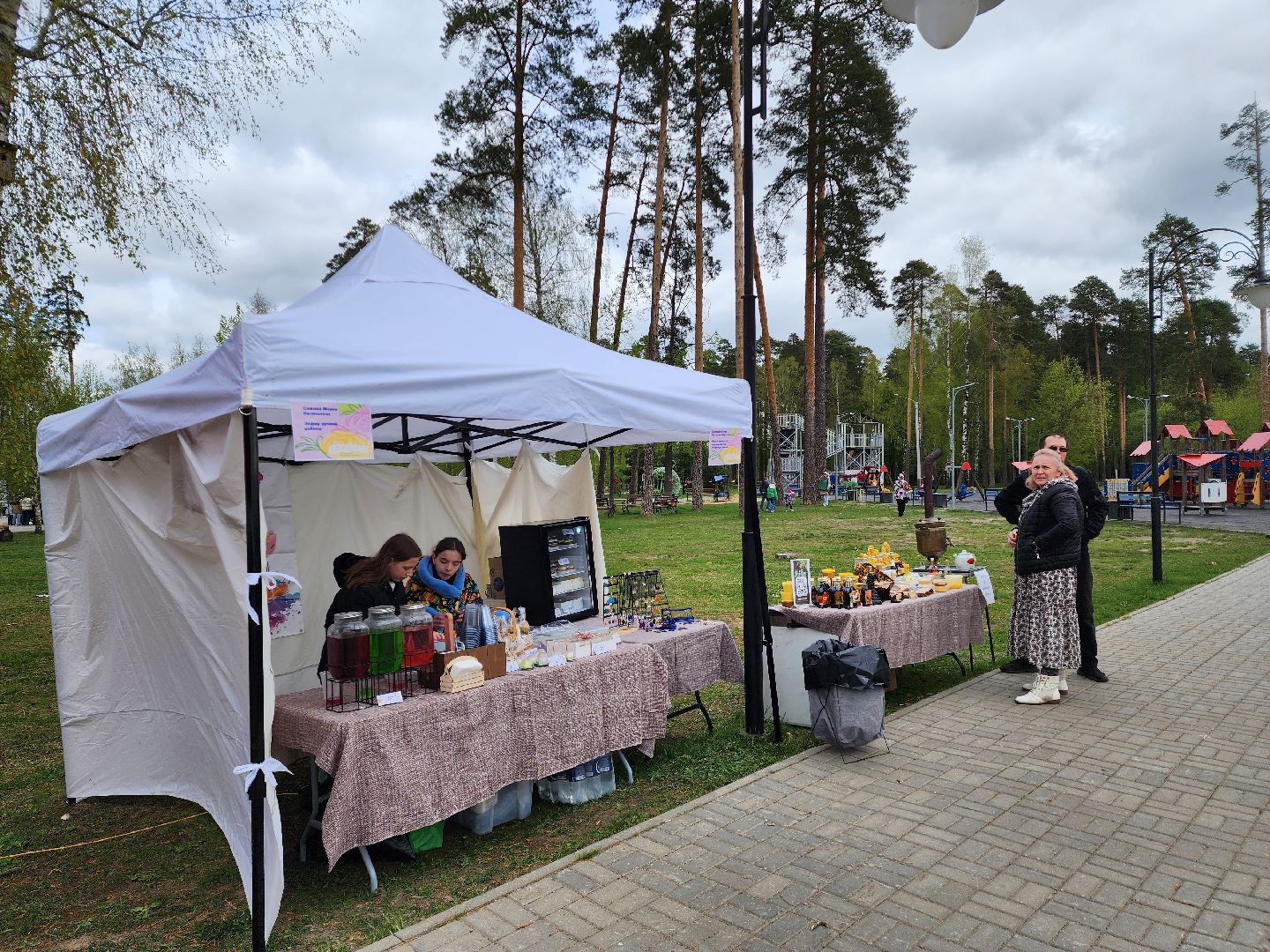 ярмарка вакансий, ярмарка мастеров, шатурский парк, шатура,