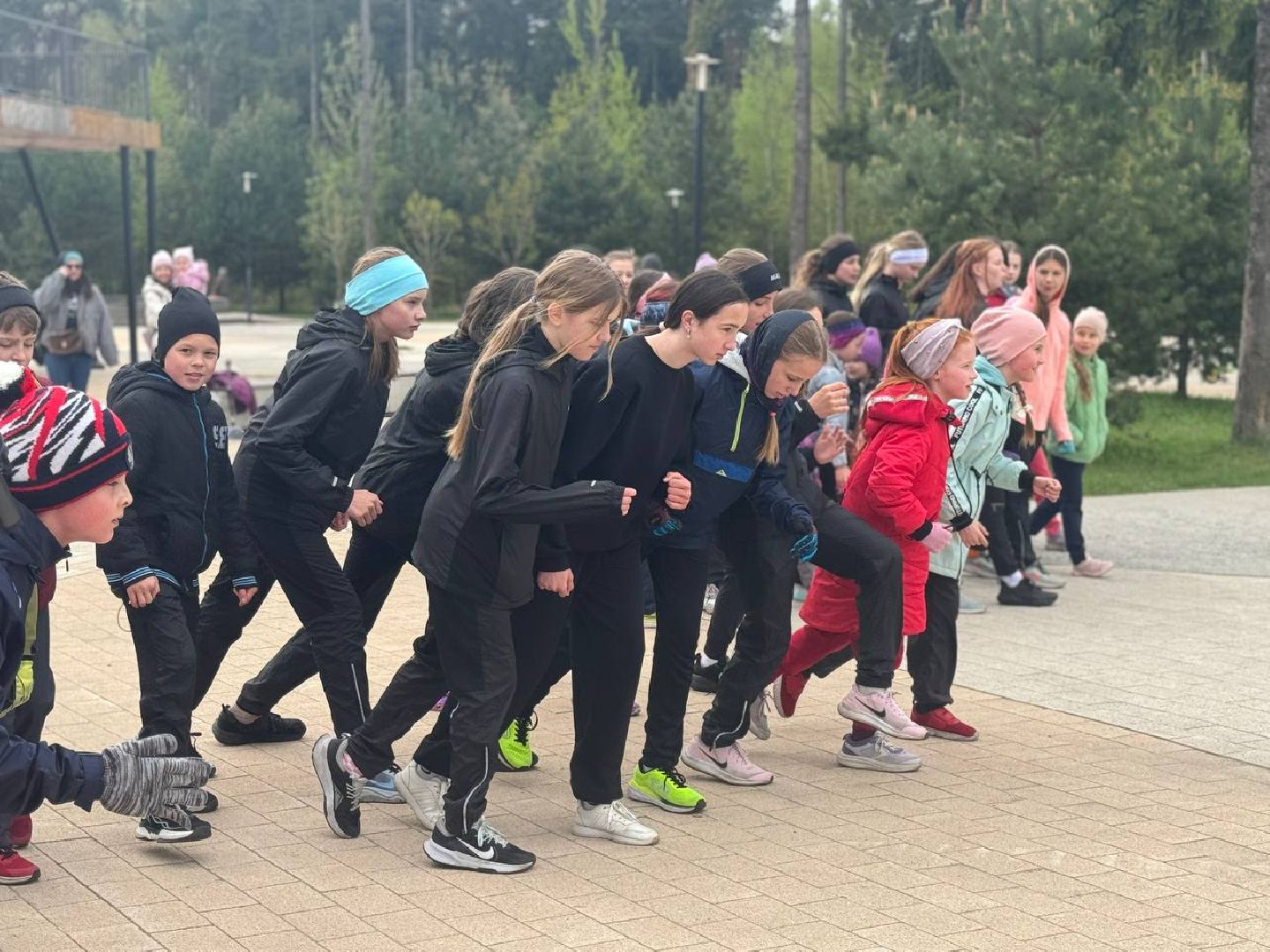 экология, сбор мусора, пестовский парк,