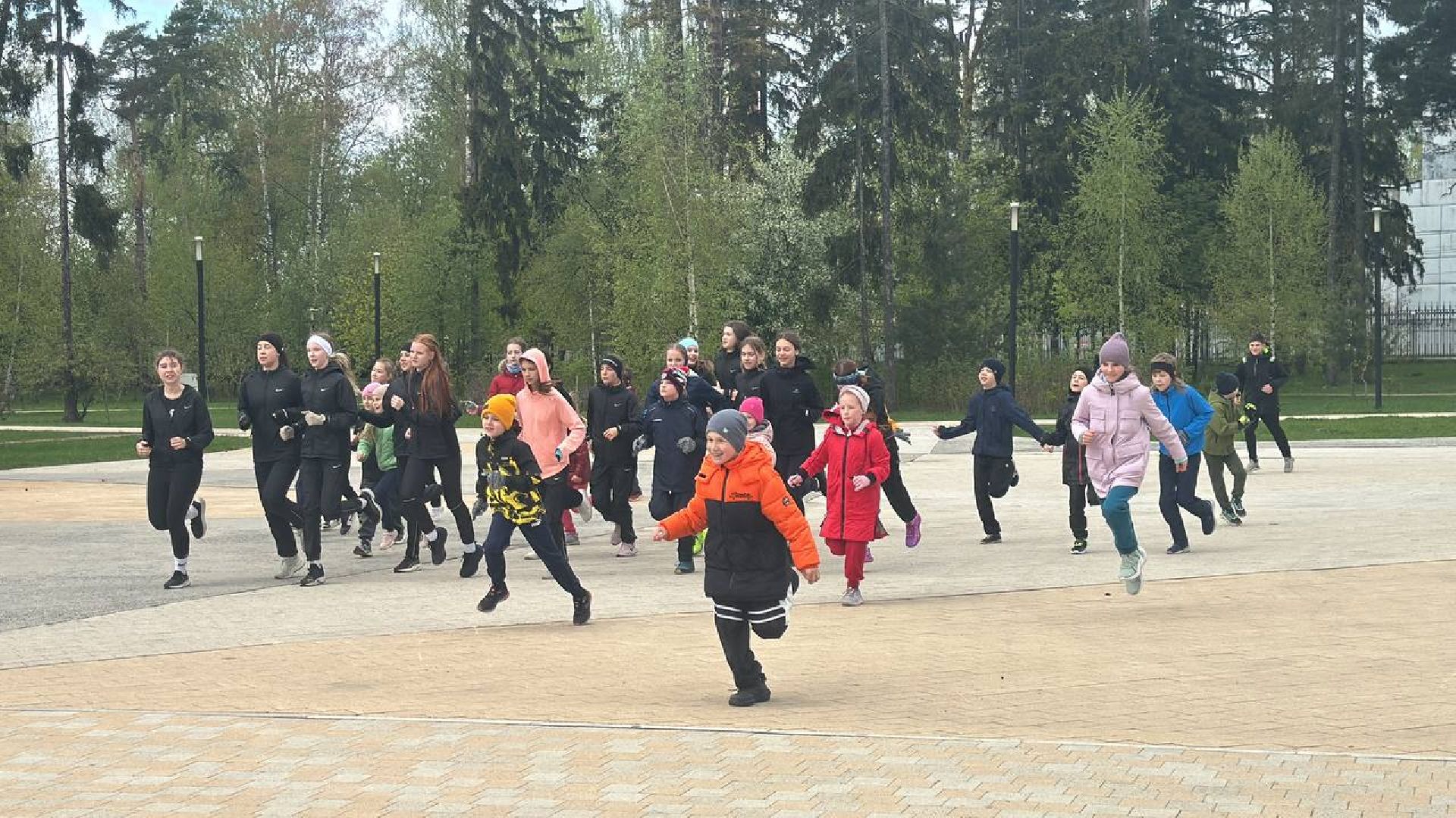 экология, сбор мусора, пестовский парк,