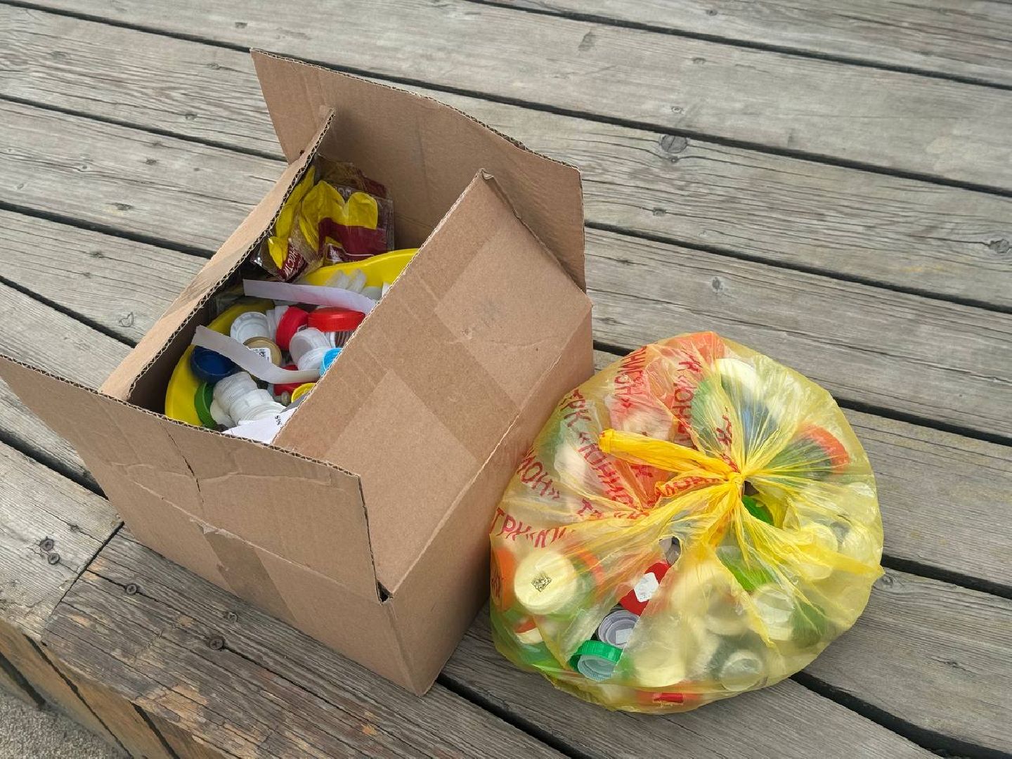 экология, сбор мусора, пестовский парк,