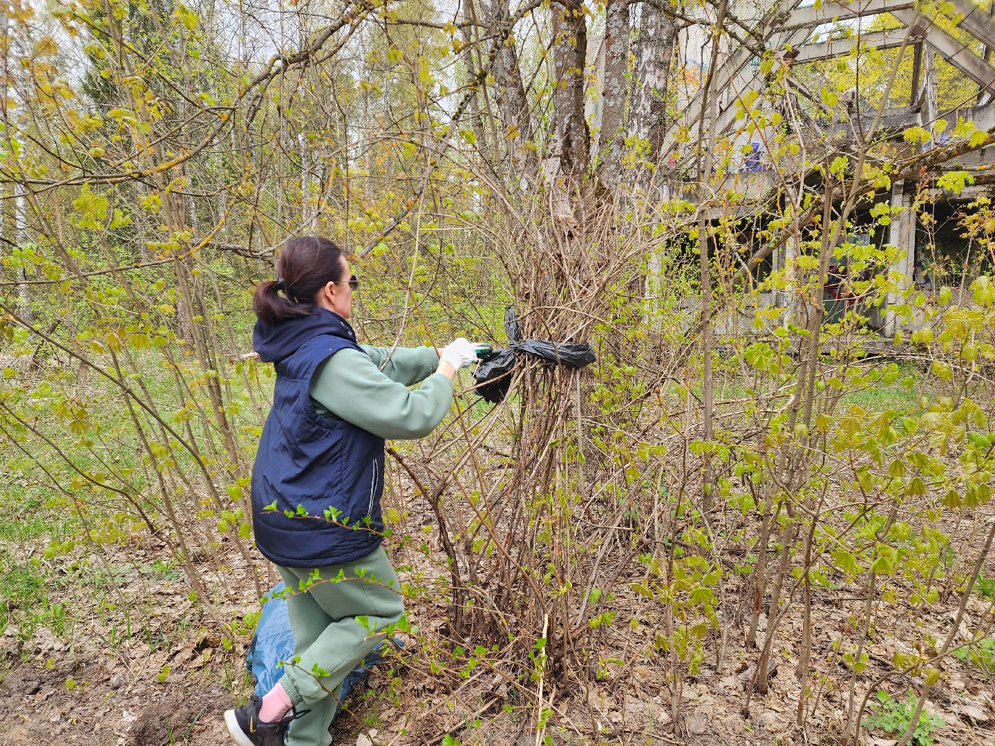 красноармейск, городской округ пушкинский, субботник, инициатива жителей,