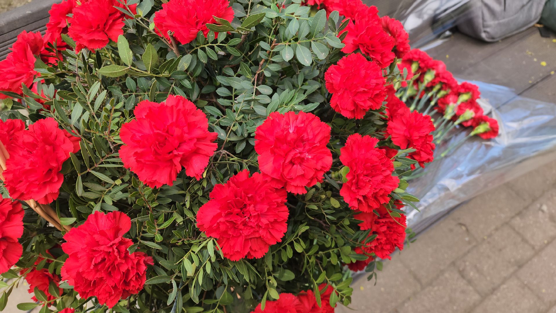 красногорск, митинг, чернобыль, чернобыльская катастрофа,