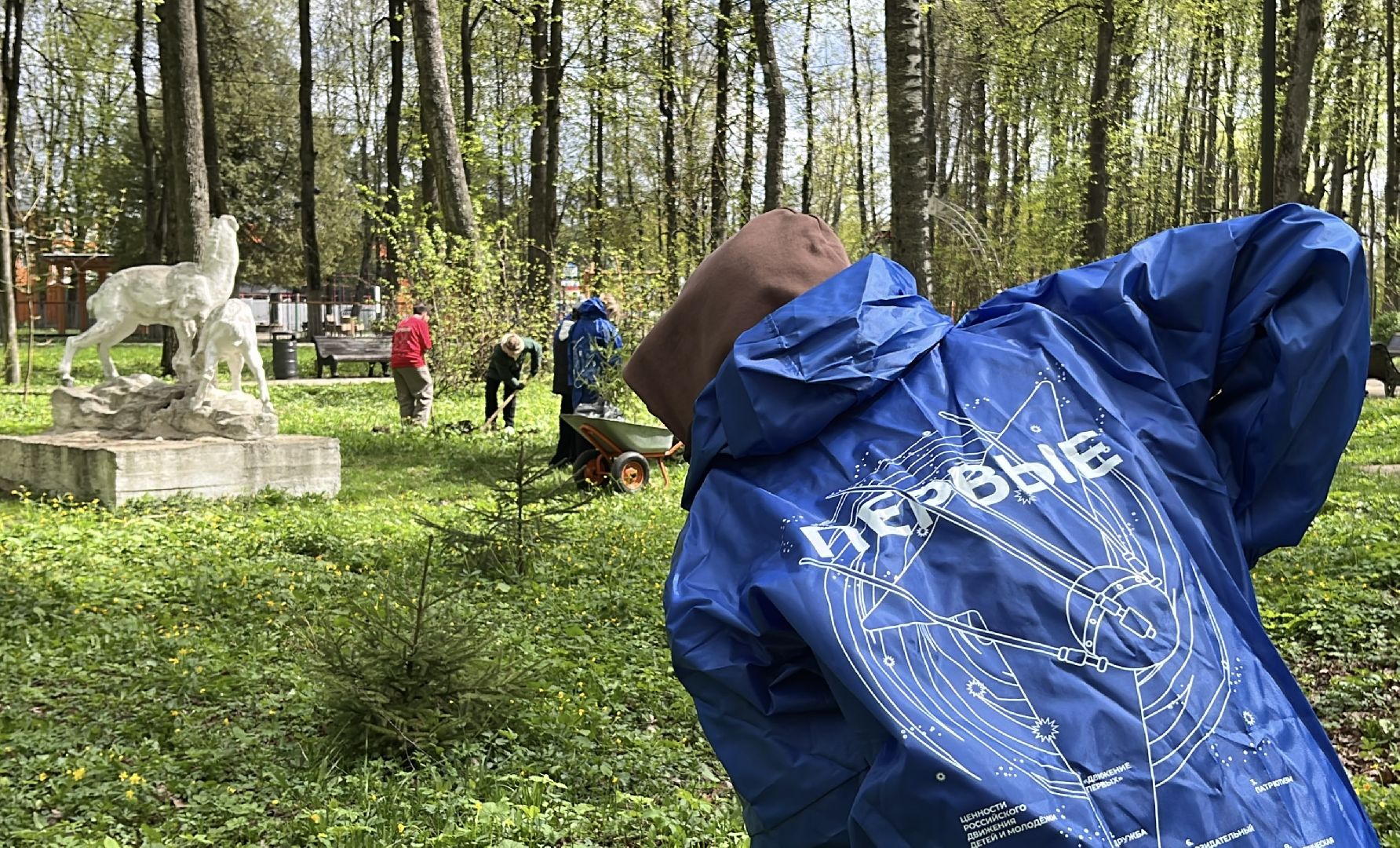 наро-фоминск, наро-фоминский городской округ, всероссийский субботник, центральный парк наро-фоминска, парки подмосковья,