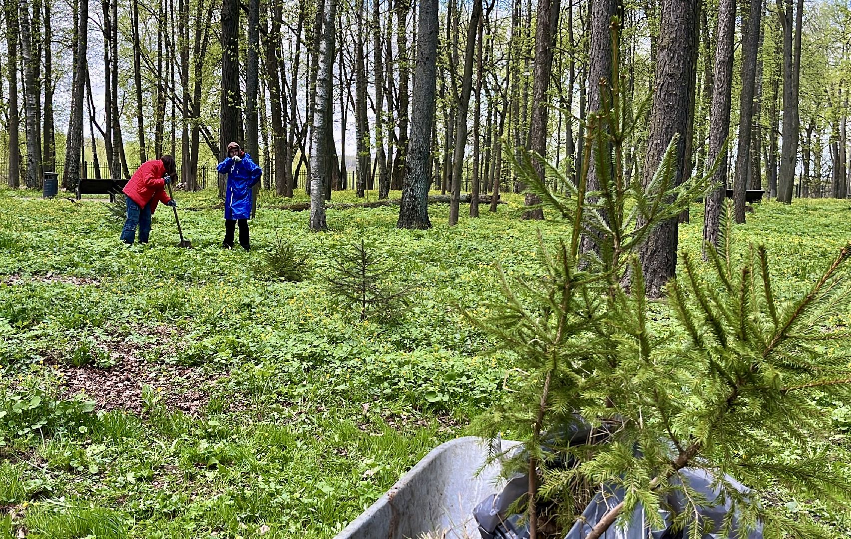 наро-фоминск, наро-фоминский городской округ, всероссийский субботник, центральный парк наро-фоминска, парки подмосковья,