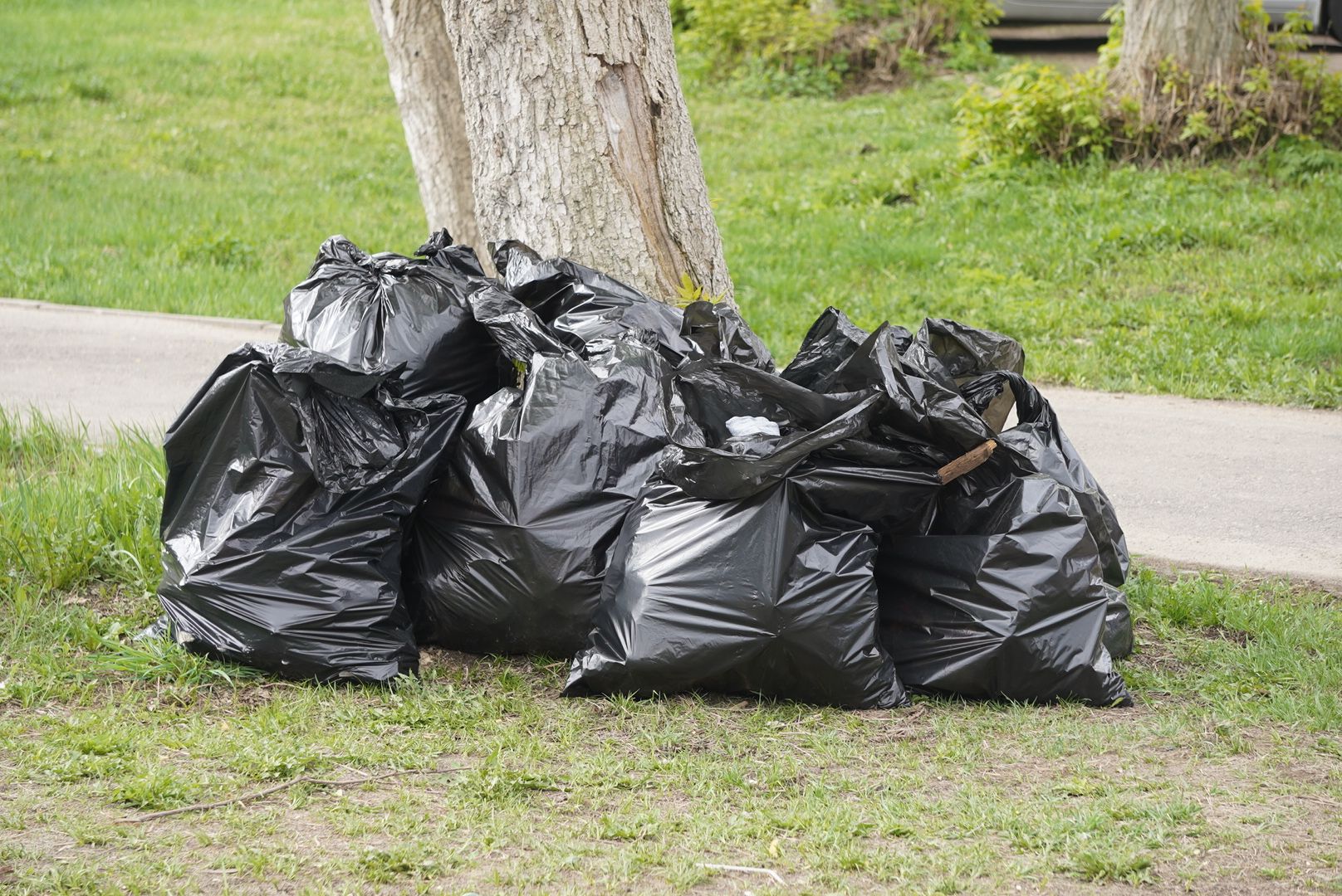 уборка , павловский посад, субботник,