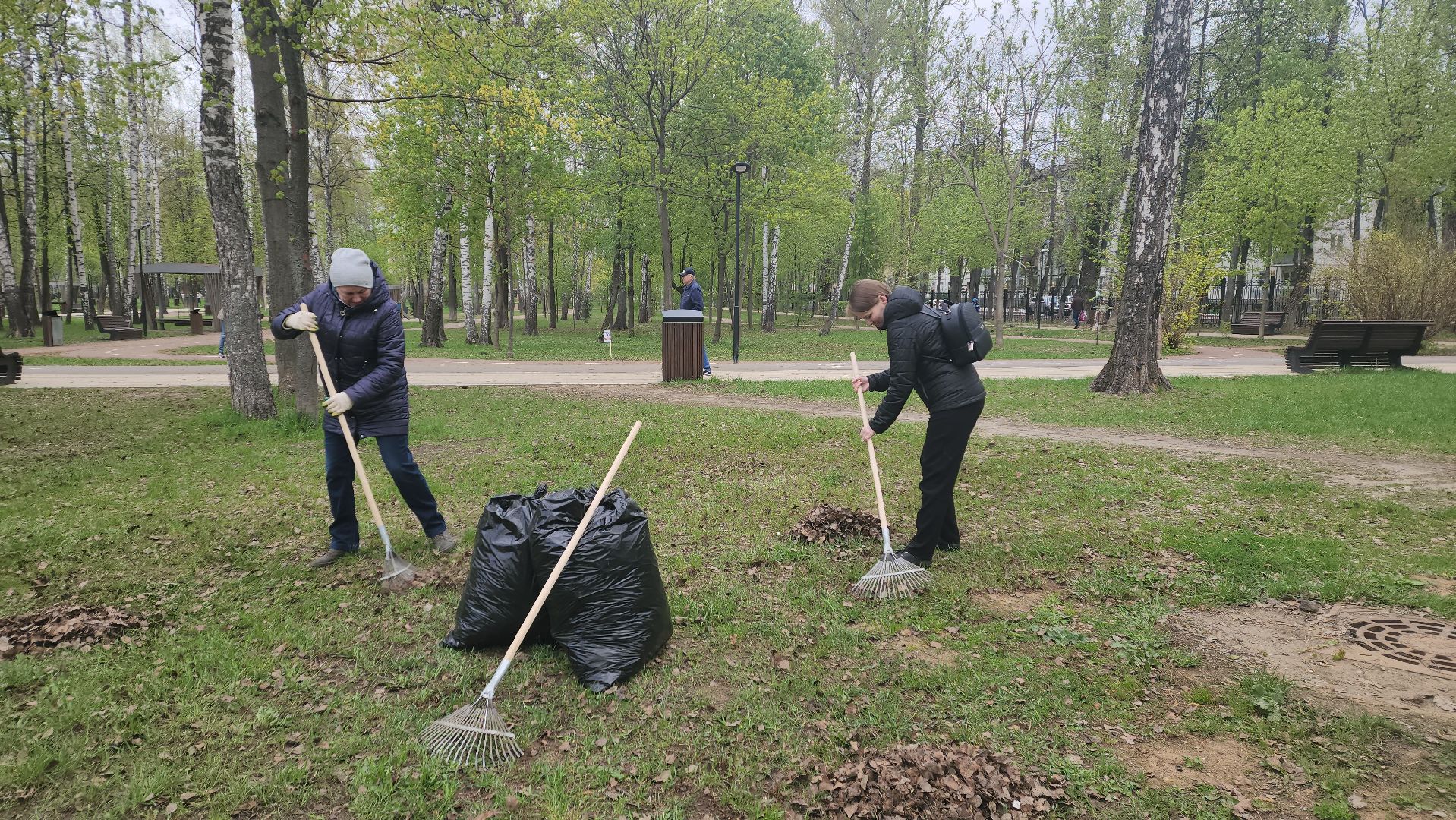 пушкино, субботник, уборка мусора,парки го пушкинский, волонтерская группа,
