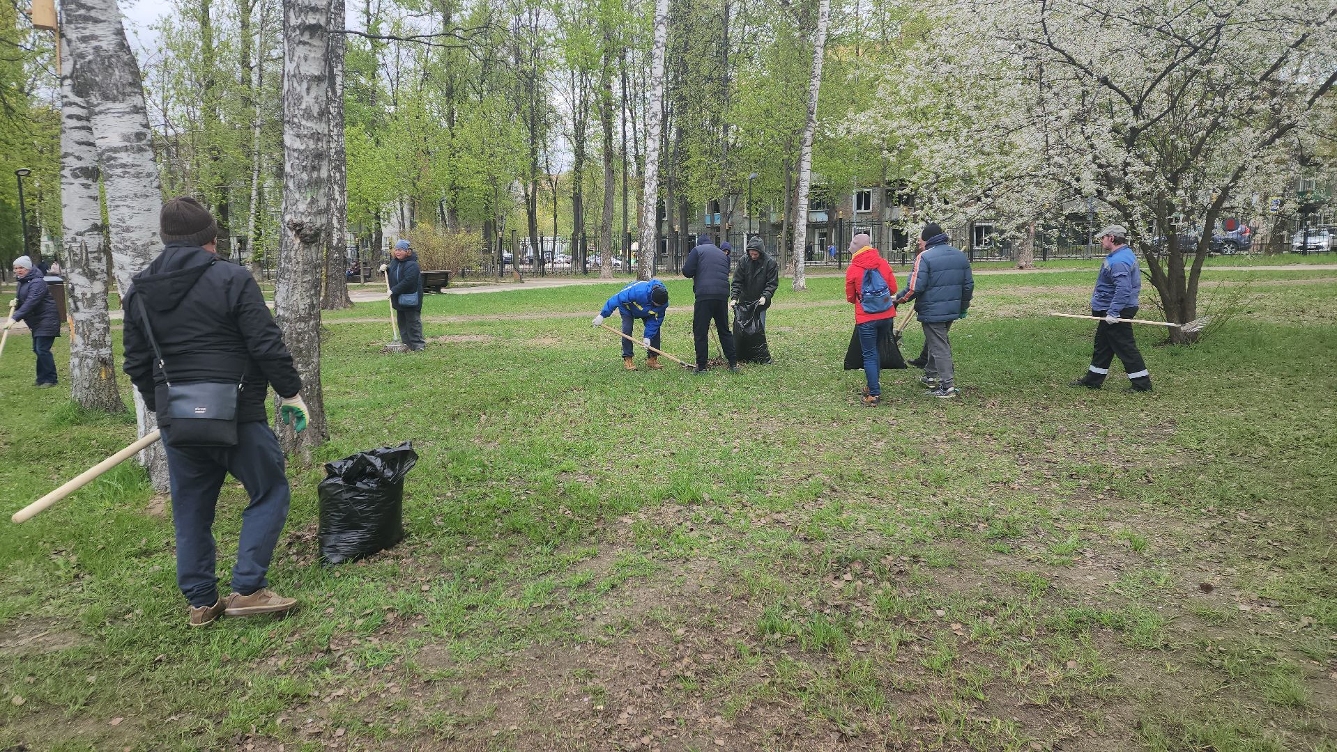 пушкино, субботник, уборка мусора,парки го пушкинский, волонтерская группа,