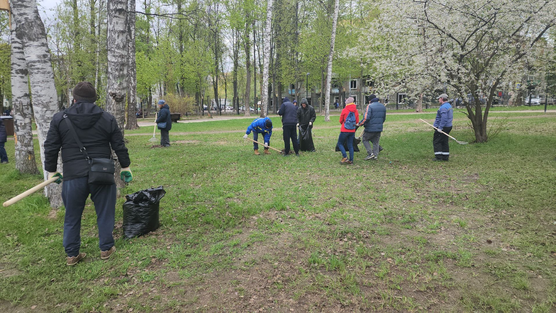 пушкино, субботник, уборка мусора,парки го пушкинский, волонтерская группа,