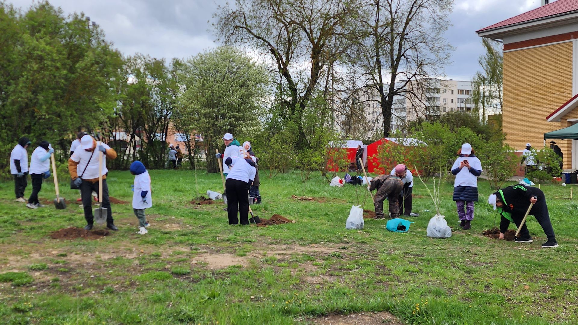 истра, субботник, общество,