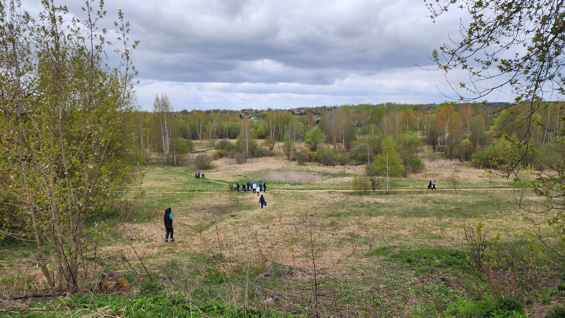 истра, субботник, общество,