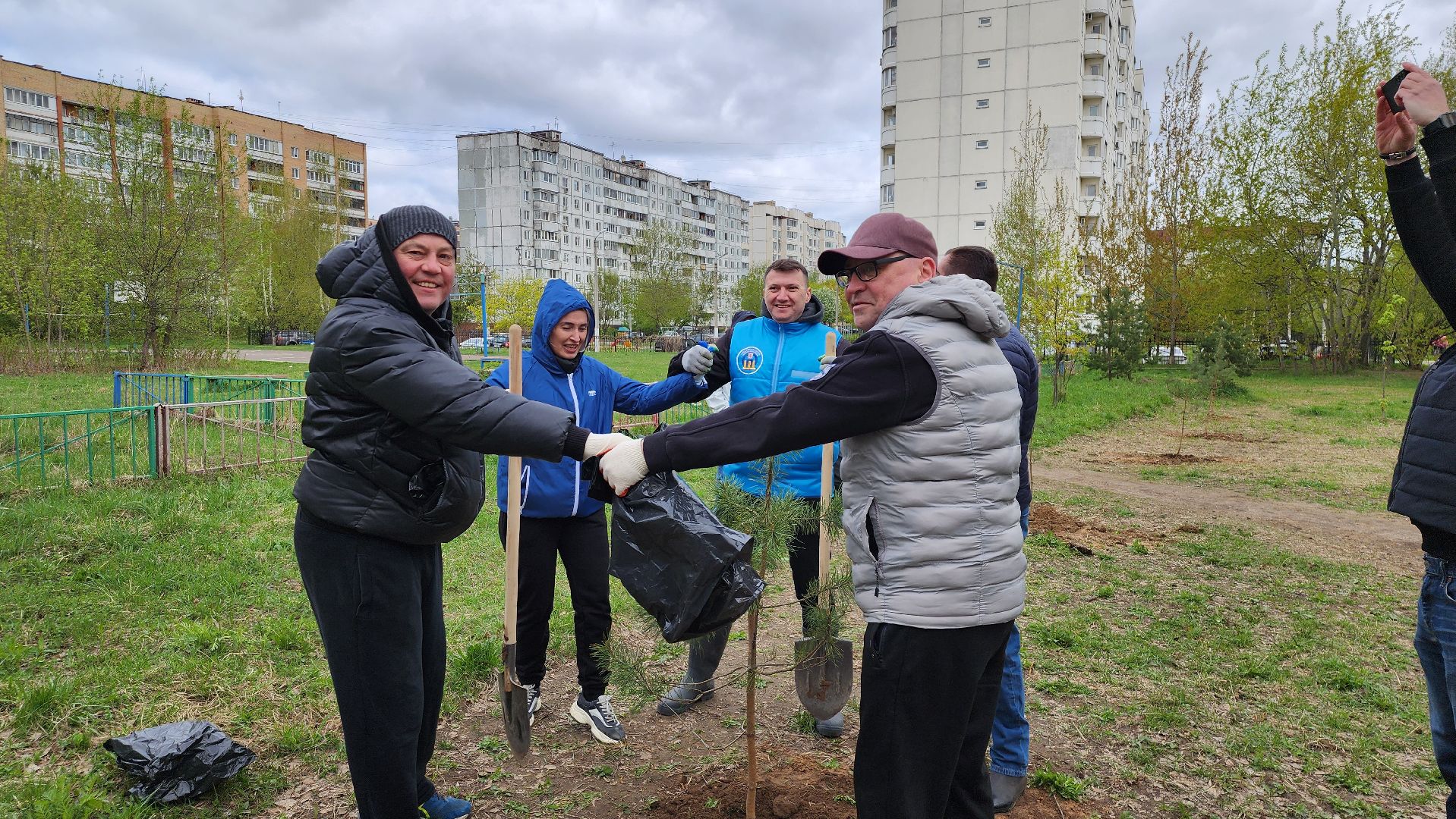 посадка кедров, Высадка сосен, щёлково, чкаловское озеро,