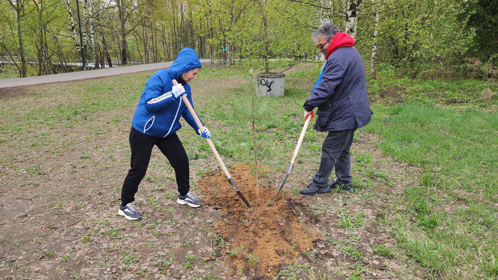 посадка кедров, Высадка сосен, щёлково, чкаловское озеро,