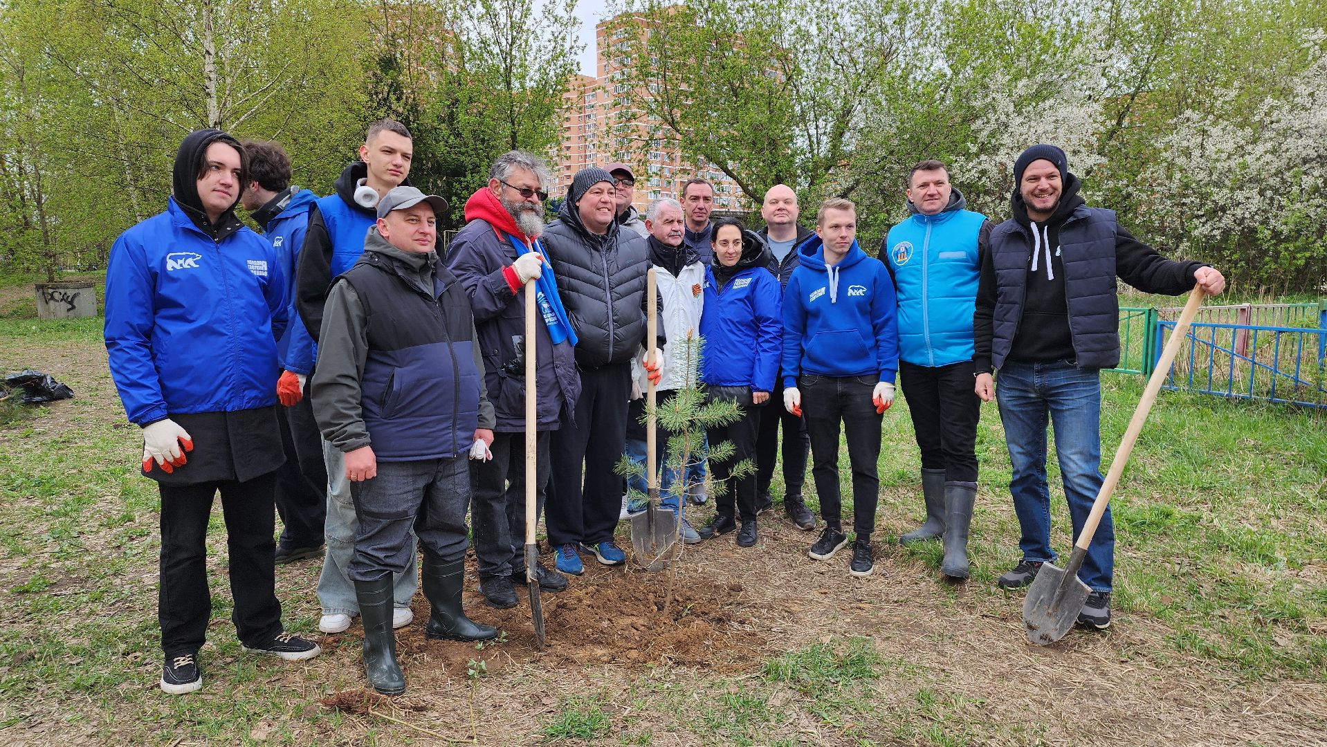 посадка кедров, Высадка сосен, щёлково, чкаловское озеро,