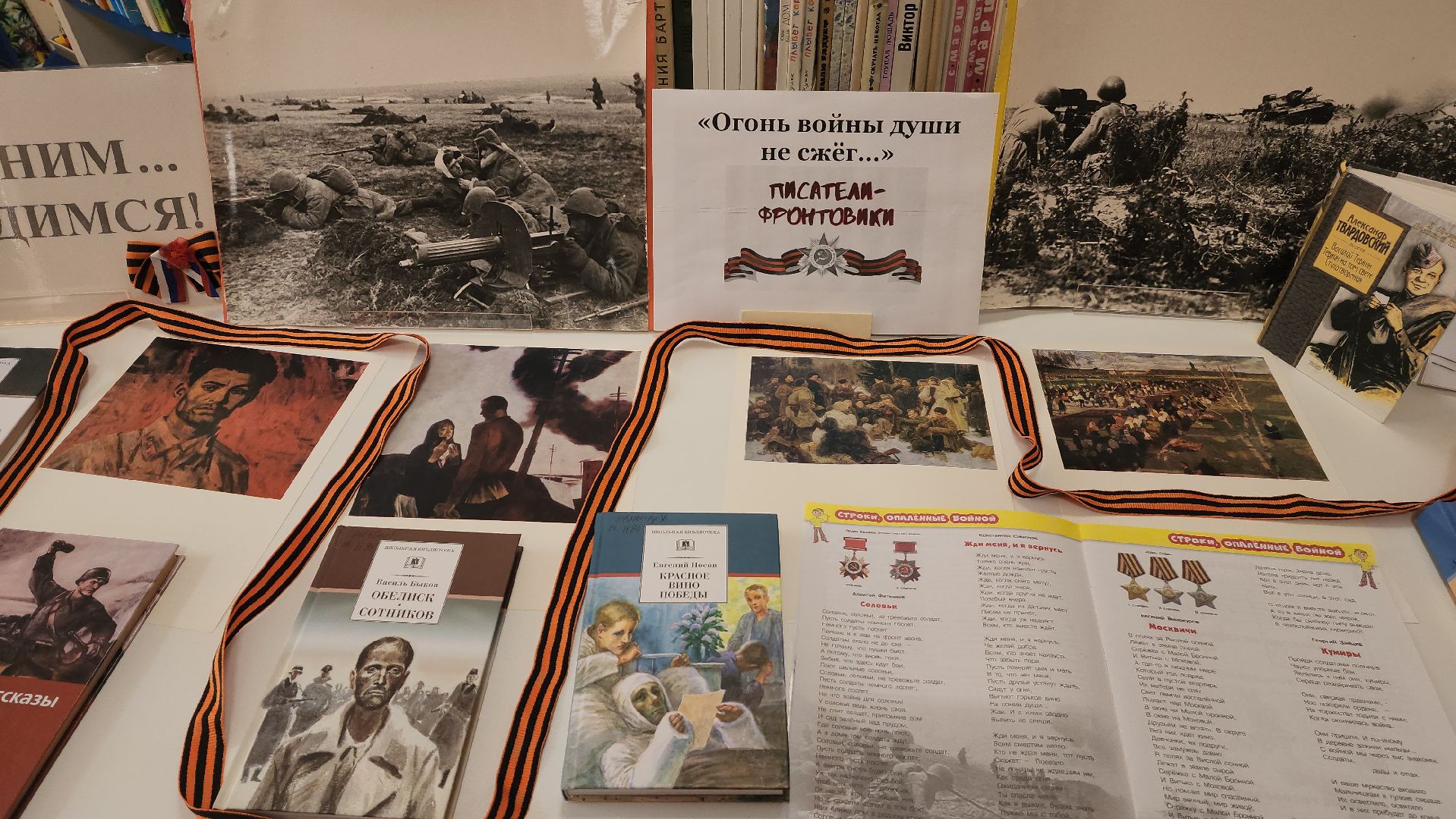 красногорск, день победы, библиосумерки,