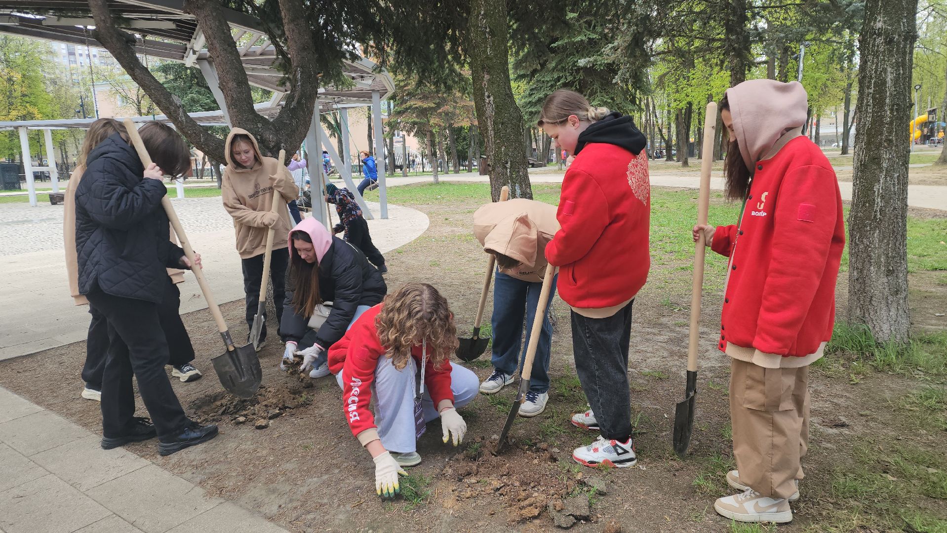 пушкино, субботник, волонтеры, волонтеры подмосковья, высадка деревьев,вертикалки,