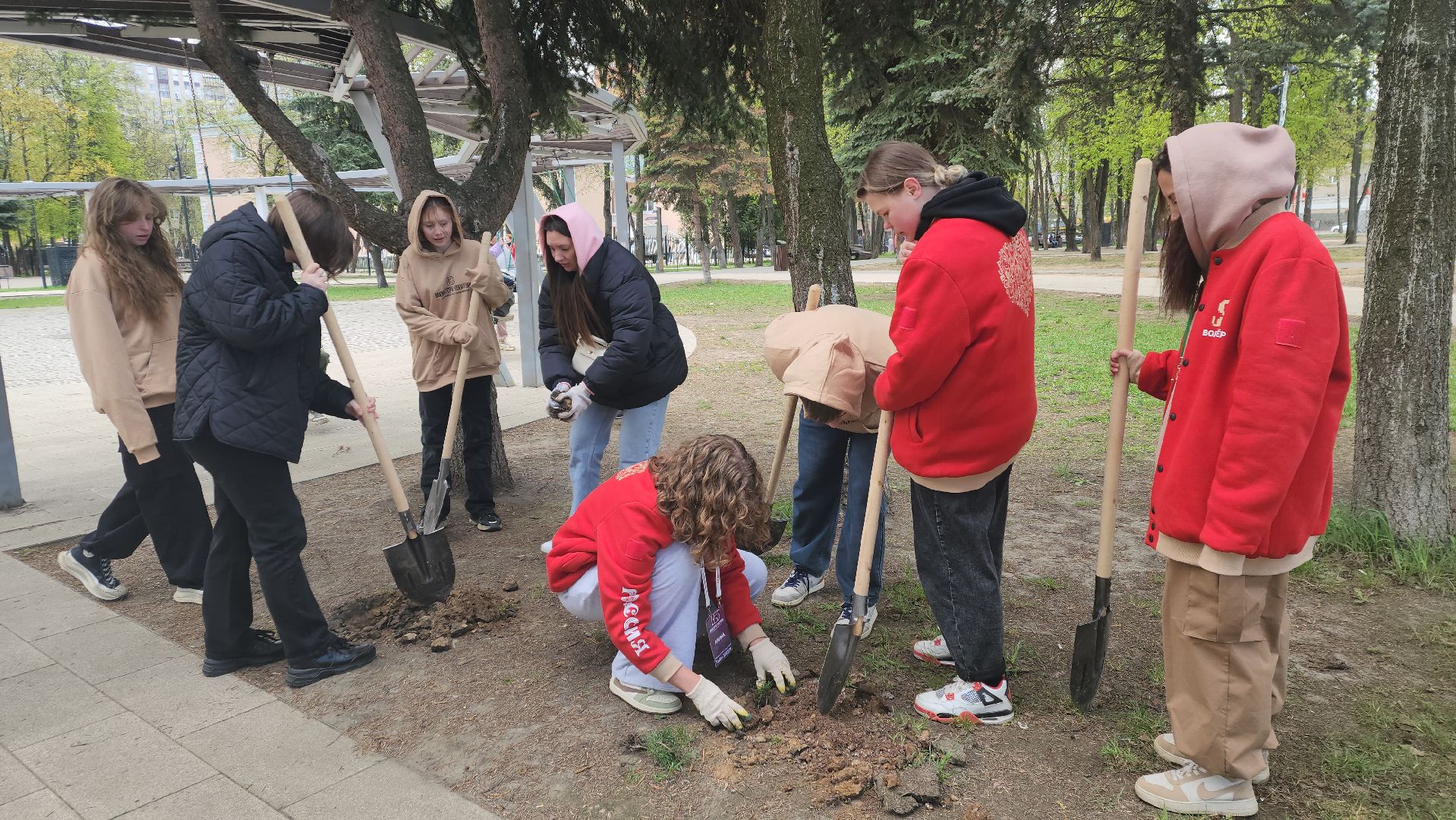 пушкино, субботник, волонтеры, волонтеры подмосковья, высадка деревьев,вертикалки,