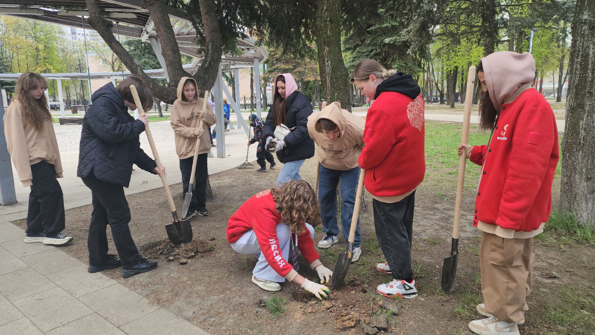 пушкино, субботник, волонтеры, волонтеры подмосковья, высадка деревьев,вертикалки,