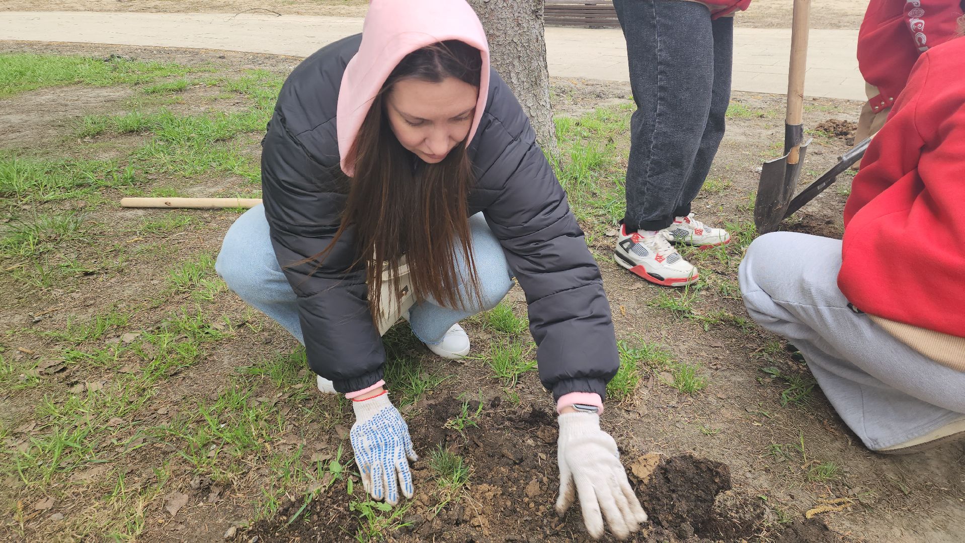 пушкино, субботник, волонтеры, волонтеры подмосковья, высадка деревьев,вертикалки,