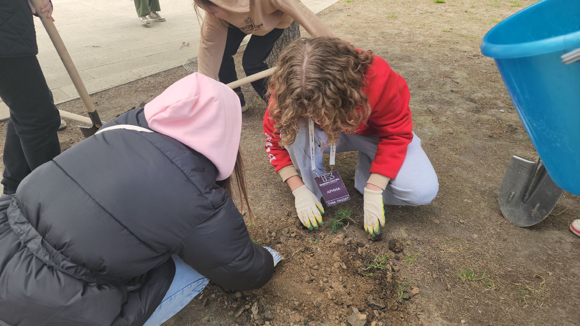 пушкино, субботник, волонтеры, волонтеры подмосковья, высадка деревьев,вертикалки,