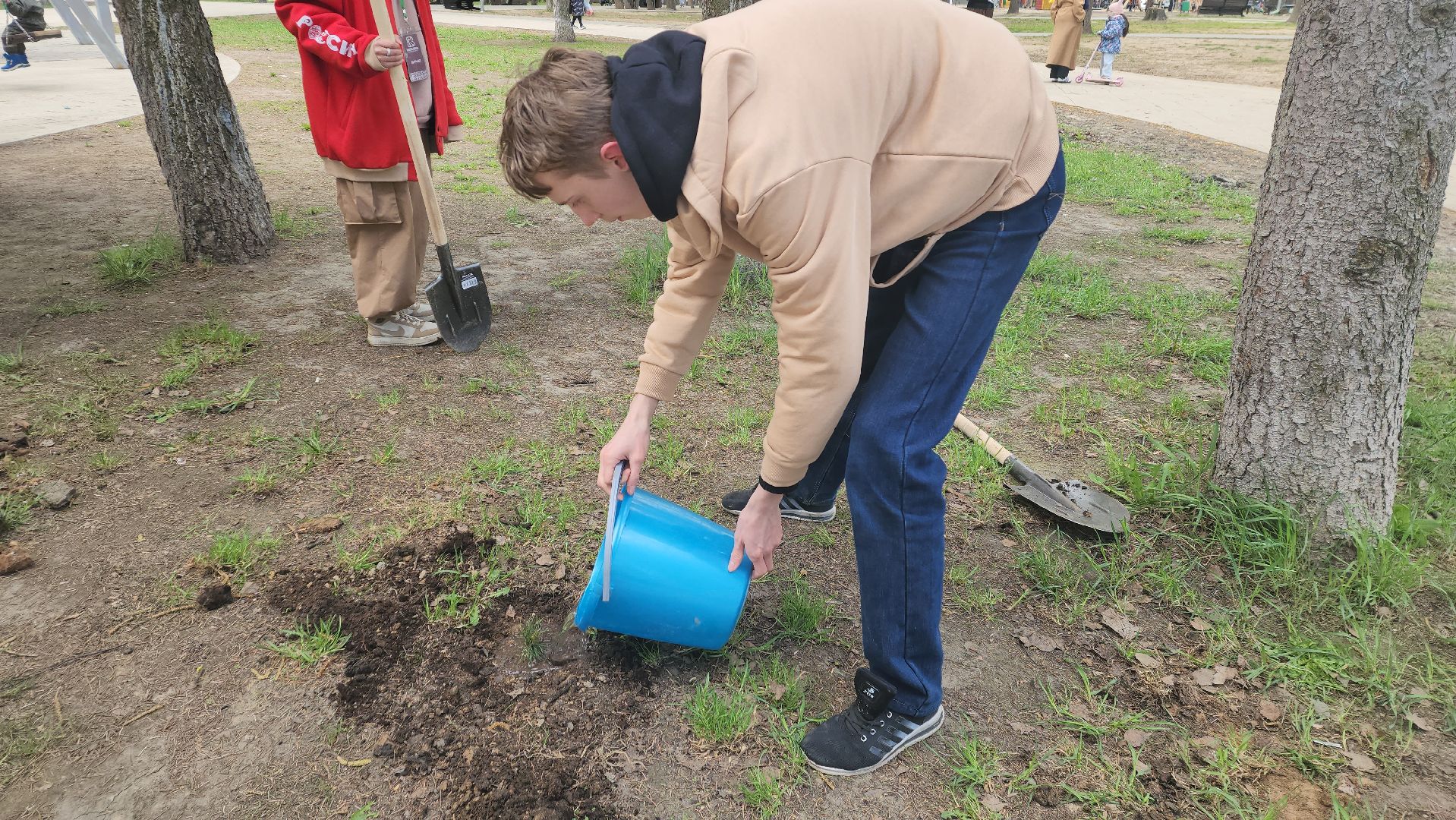 пушкино, субботник, волонтеры, волонтеры подмосковья, высадка деревьев,вертикалки,