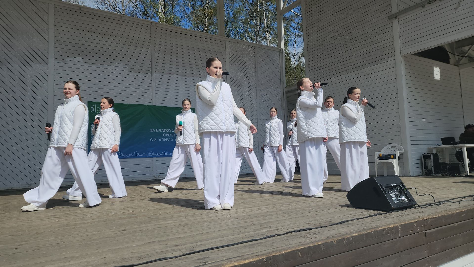 парки го пушкинский, субботник, вертикалки, концерт, творческие коллективы, сольные номера,