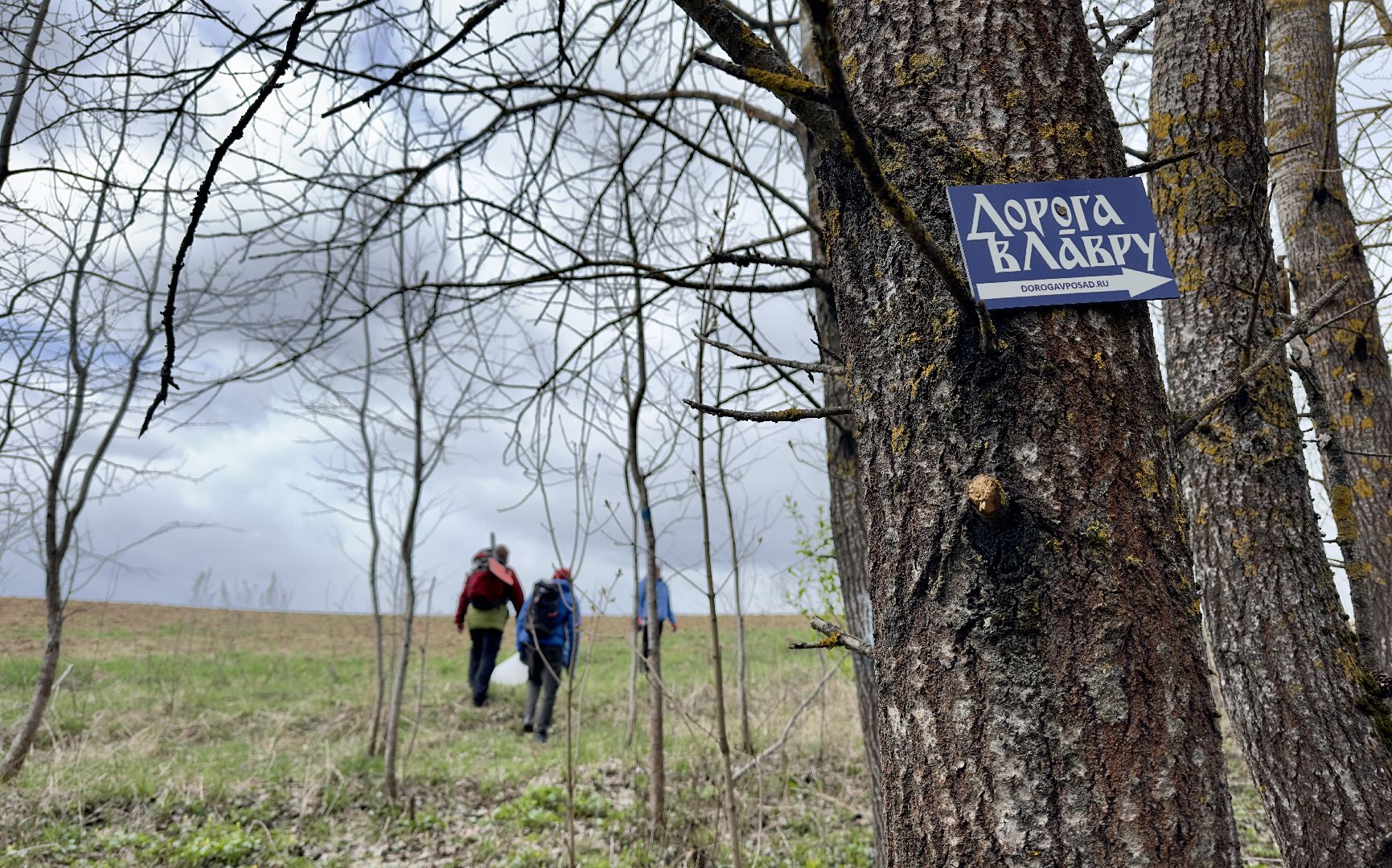 сергиево-посадский городской округ, дорога к лавре, Уборка, субботник, религия,